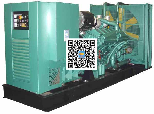 潍坊笼型异步发电机的电力电子控制技术